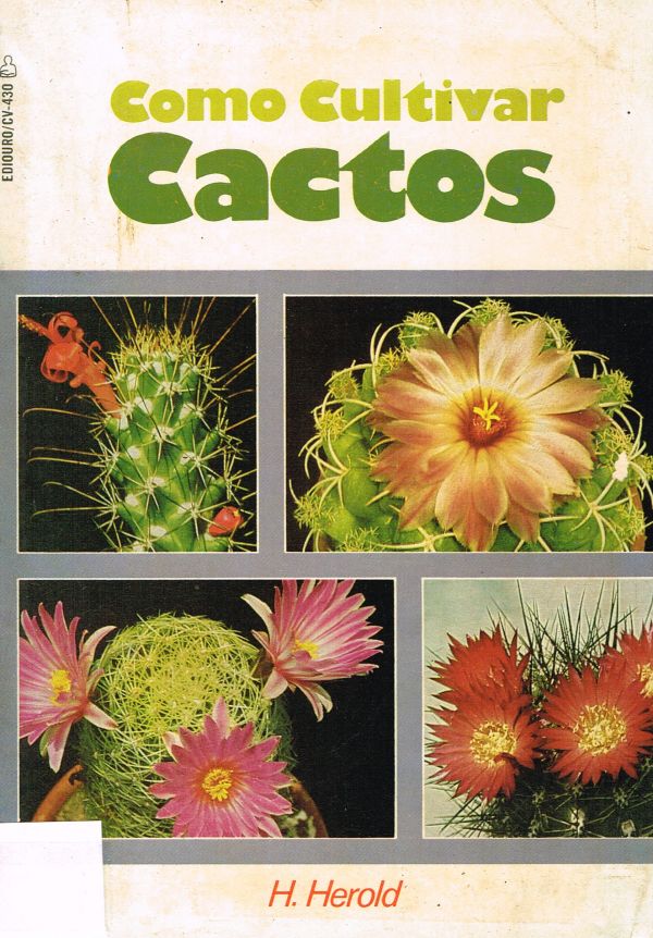 Como cultivar cactos